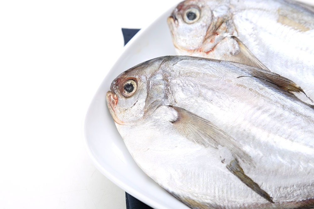 “熊猫体育”《杀手6》14号难寻目标上线 这次居然要暗杀一个厨子(图3) xiongmao体育