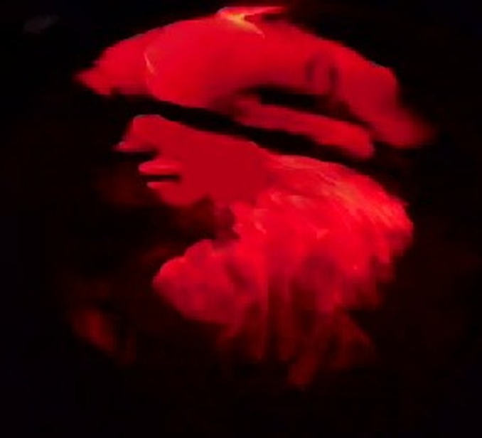 CBA总决赛:强度+硬度都是堪称最高级别【panda sports】(图3) panda sports