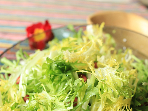 panda sports|黄磊《拜托了冰箱》回应《深夜食堂》质疑 心疼王嘉尔张艺兴太拼(图3) panda sports