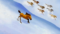 《擒贼先擒王》点映礼落幕引爆影院 警察精神感动全场-xiongmao体育(图1) panda sports