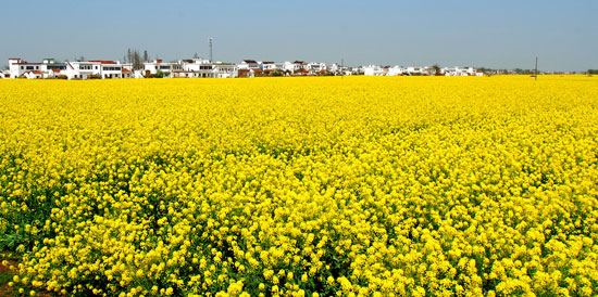 《心灵法医》心理医生遭家暴致死 独居老人诡异自缢-xiongmao体育(图3) 熊猫体育