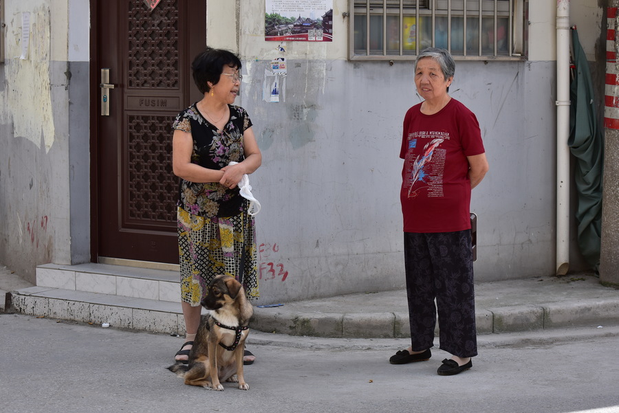 宋祖儿《舌害》今晚开播 话唠娱记闯荡娱乐圈:熊猫体育(图1) 熊猫体育