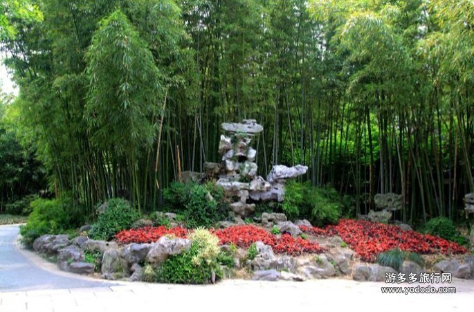 大神31分钟速通硬核游戏《蔚蓝》 刷新世界纪录‘熊猫体育’(图1) 熊猫体育