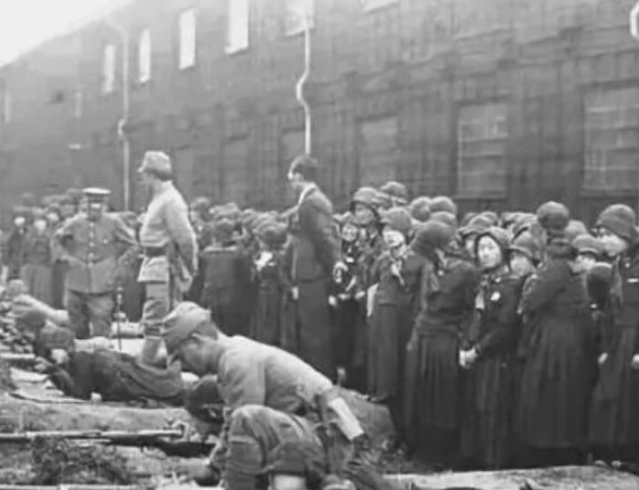 二战时期的日本女人究竟有多“坏”?说出来你都纷歧定相信:xiongmao体育(图2)
二战时期的日本女人究竟有多“坏”?说出来你都纷歧定相信:xiongmao体育(图2)