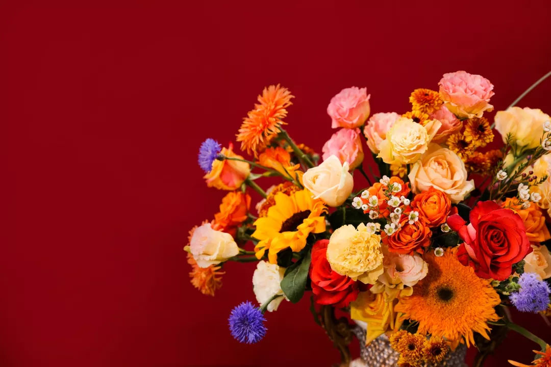 《一千零一夜》火热开播 迪丽热巴变身迷妹看点多|熊猫体育(图1) panda sports