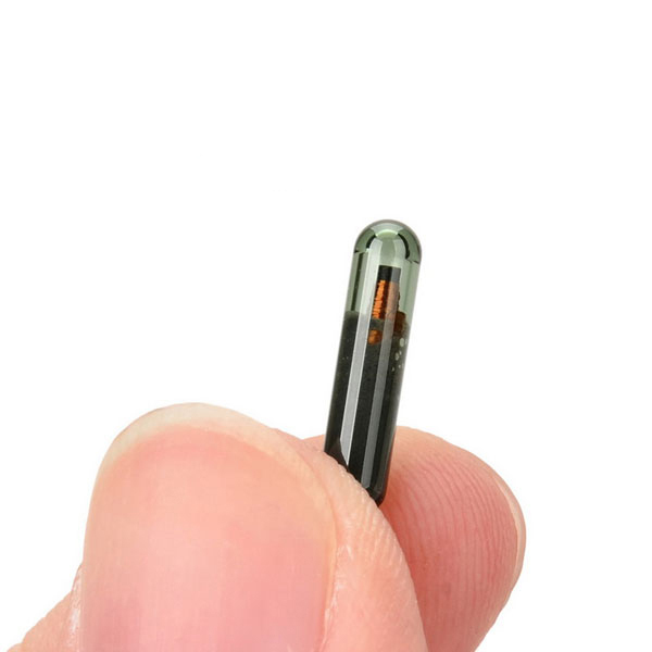 15年间 中国女人的出轨率翻了三倍:家庭主妇难以启齿的秘密‘panda sports’(图2) xiongmao体育