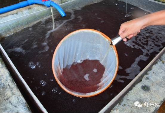 xiongmao体育|真三国无双8简中版2月8日发售349元 全中文语音(图3) panda sports